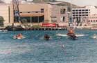 Wellington race start